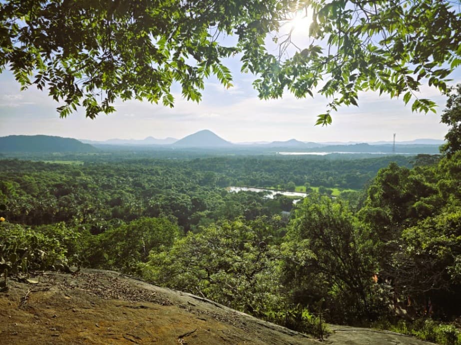 Before you visit the iconic Golden Temple City, download the Travelyonka app – your smart travel companion for Sri Lanka. Find guides, offline maps, transport options, and hidden gems. Available on Android and iOS. Explore smarter with Travelyonka!