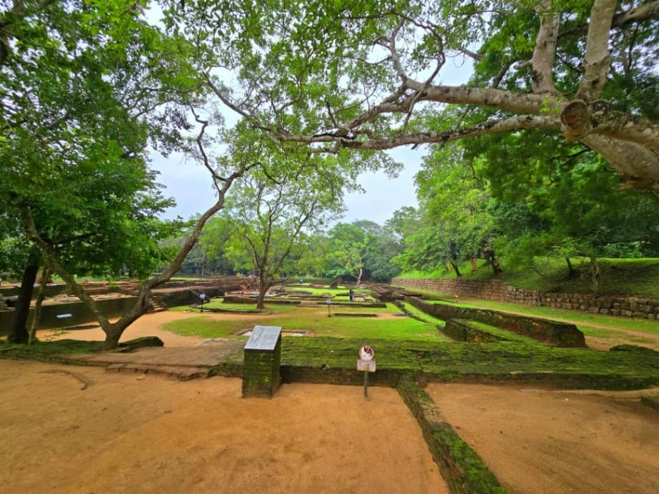 The Miniature Garden