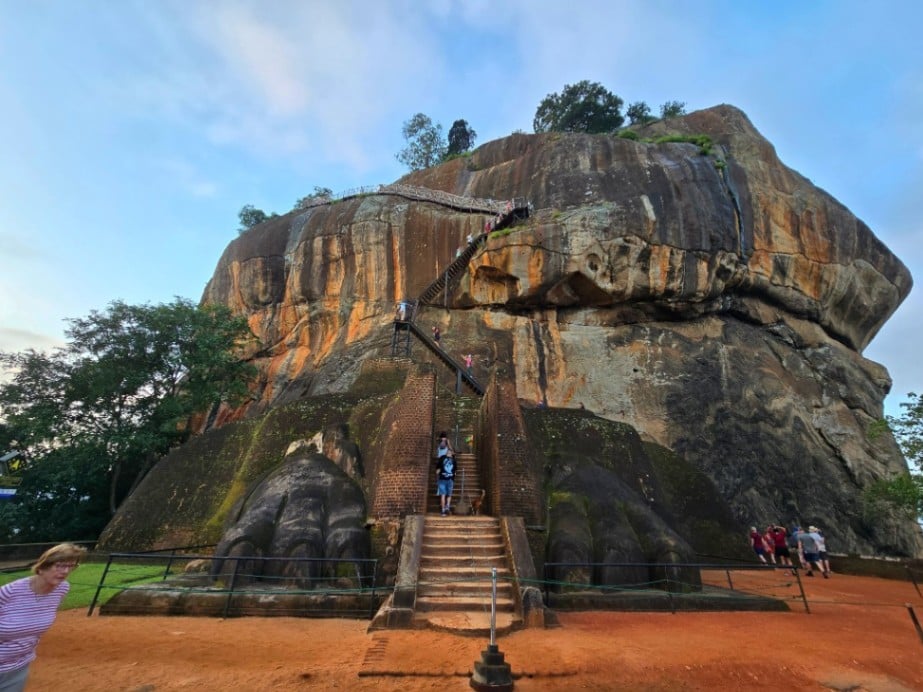 Lion’s Paw Terrace