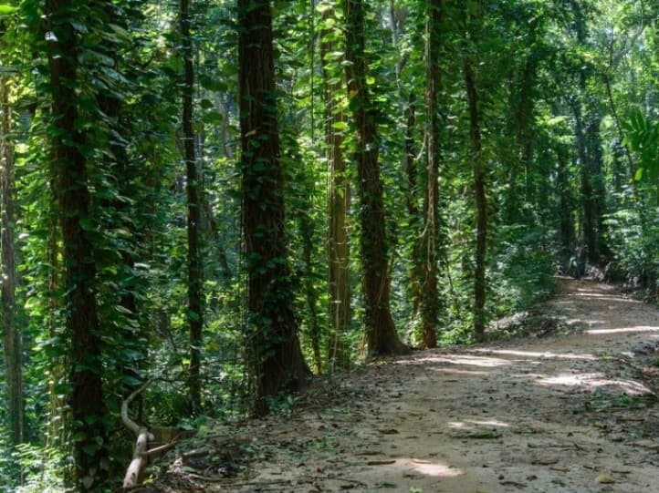 Udawattakale Sanctuary